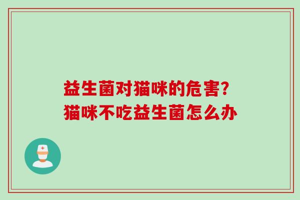 益生菌对猫咪的危害？猫咪不吃益生菌怎么办