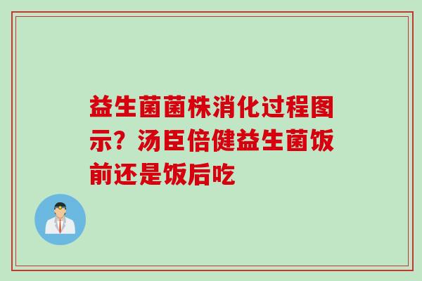 益生菌菌株消化过程图示？汤臣倍健益生菌饭前还是饭后吃