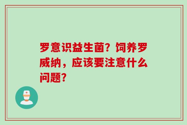 罗意识益生菌？饲养罗威纳，应该要注意什么问题？