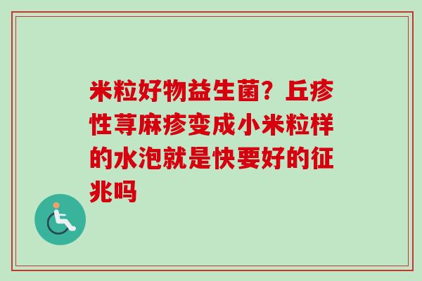 米粒好物益生菌?丘疹性荨麻疹变成小米粒样的水泡就是快要好的征兆吗 米粒好物益生菌?丘疹性荨麻疹变成小米粒样的水泡就是快要好的征兆吗
