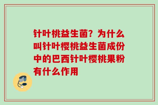针叶桃益生菌?为什么叫针叶樱桃益生菌成份中的巴西针叶樱桃果粉有什么作用 针叶桃益生菌?为什么叫针叶樱桃益生菌成份中的巴西针叶樱桃果粉有什么作用