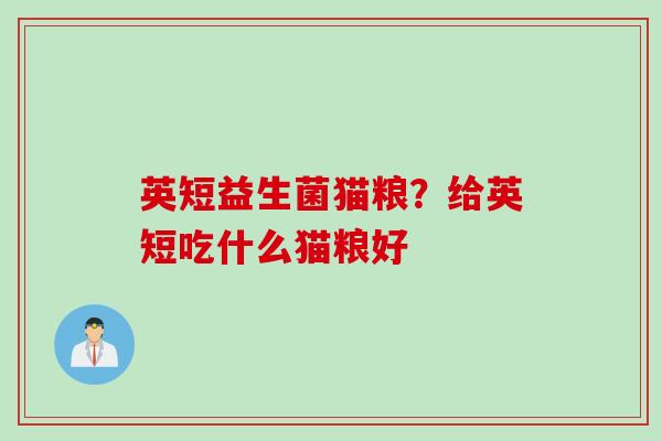 英短益生菌猫粮？给英短吃什么猫粮好