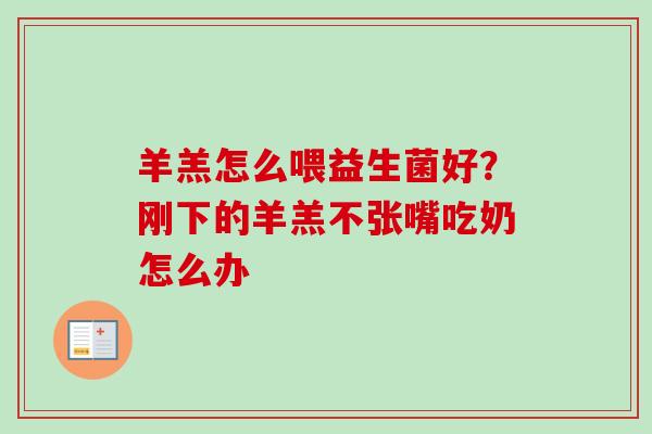 羊羔怎么喂益生菌好?刚下的羊羔不张嘴吃奶怎么办 羊羔怎么喂益生菌好?刚下的羊羔不张嘴吃奶怎么办