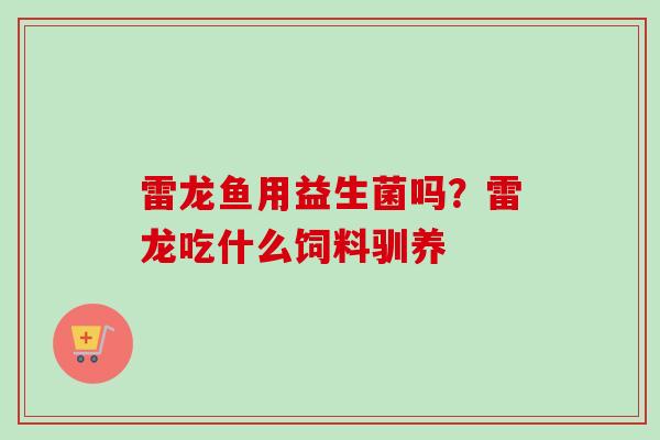 雷龙鱼用益生菌吗?雷龙吃什么饲料驯养 雷龙鱼用益生菌吗?雷龙吃什么饲料驯养