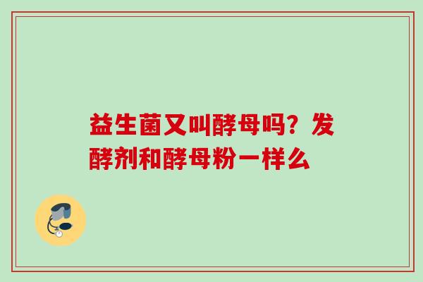 益生菌又叫酵母吗？发酵剂和酵母粉一样么