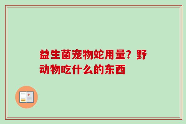 益生菌宠物蛇用量？野动物吃什么的东西