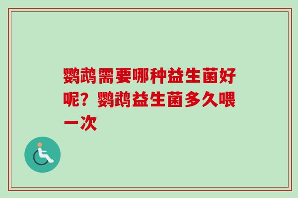 鹦鹉需要哪种益生菌好呢?鹦鹉益生菌多久喂一次 鹦鹉需要哪种益生菌好呢?鹦鹉益生菌多久喂一次