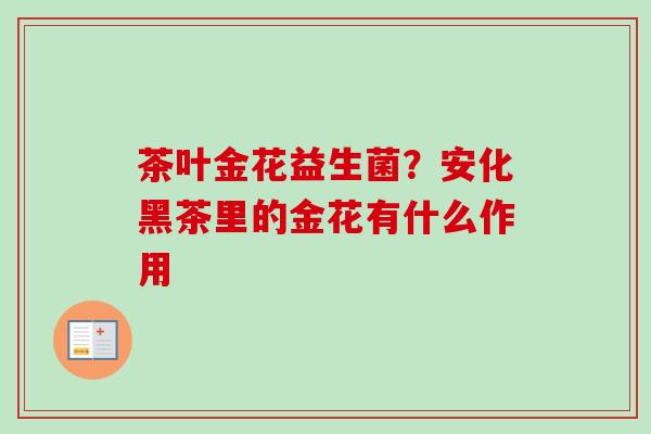 茶叶金花益生菌？安化黑茶里的金花有什么作用