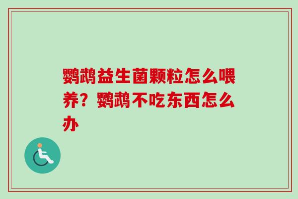 鹦鹉益生菌颗粒怎么喂养？鹦鹉不吃东西怎么办
