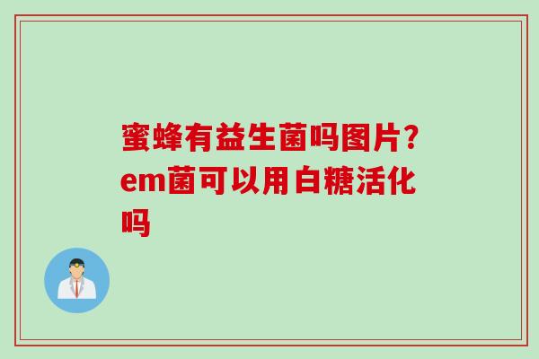 蜜蜂有益生菌吗图片？em菌可以用白糖活化吗