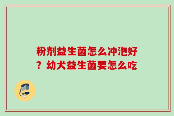 粉剂益生菌怎么冲泡好？幼犬益生菌要怎么吃