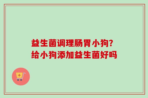 益生菌调理肠胃小狗？给小狗添加益生菌好吗