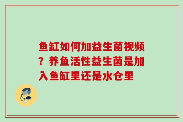 鱼缸如何加益生菌视频？养鱼活性益生菌是加入鱼缸里还是水仓里