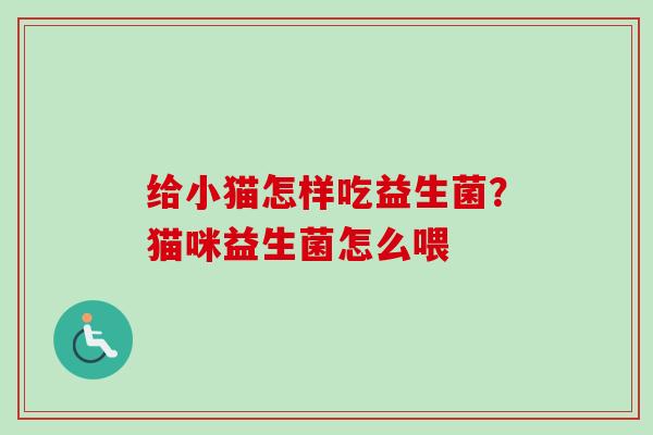 给小猫怎样吃益生菌？猫咪益生菌怎么喂