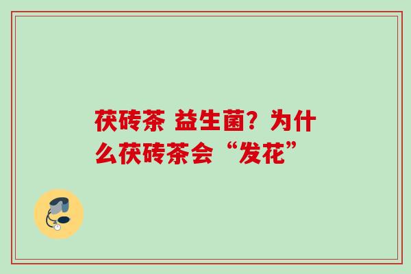 茯砖茶 益生菌？为什么茯砖茶会“发花”