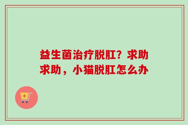 益生菌脱肛?求助求助,小猫脱肛怎么办 益生菌脱肛?求助求助,小猫脱肛怎么办