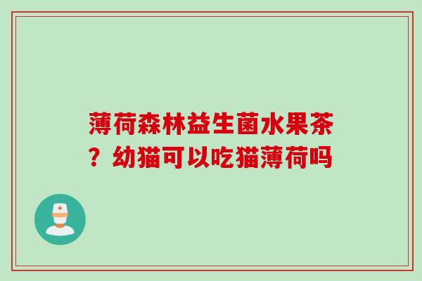 薄荷森林益生菌水果茶?幼猫可以吃猫薄荷吗 薄荷森林益生菌水果茶?幼猫可以吃猫薄荷吗