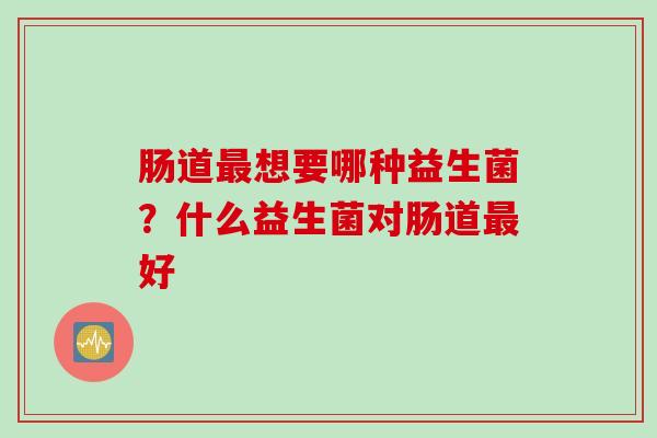 肠道想要哪种益生菌？什么益生菌对肠道好