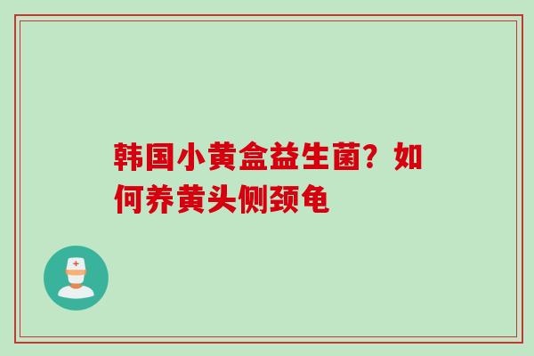 韩国小黄盒益生菌？如何养黄头侧颈龟