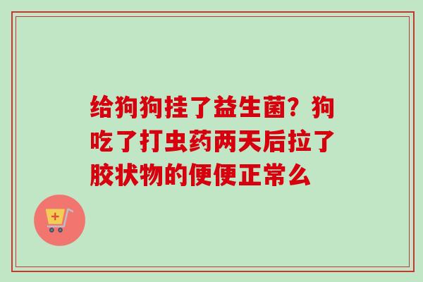 给狗狗挂了益生菌？狗吃了打虫药两天后拉了胶状物的便便正常么