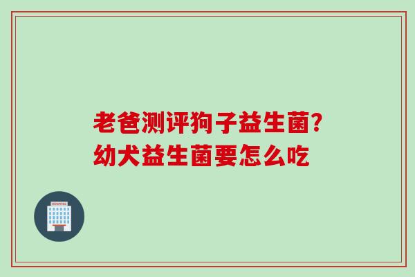 老爸测评狗子益生菌?幼犬益生菌要怎么吃 老爸测评狗子益生菌?幼犬益生菌要怎么吃