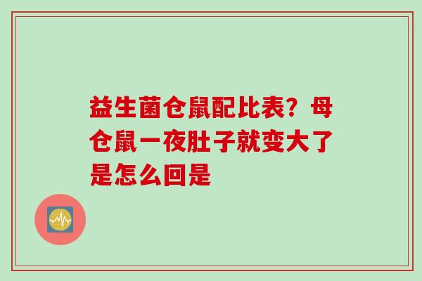 益生菌仓鼠配比表?母仓鼠一夜肚子就变大了是怎么回是 益生菌仓鼠配比表?母仓鼠一夜肚子就变大了是怎么回是