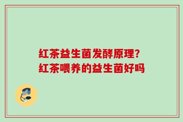 红茶益生菌发酵原理？红茶喂养的益生菌好吗