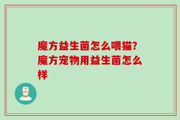 魔方益生菌怎么喂猫?魔方宠物用益生菌怎么样 魔方益生菌怎么喂猫?魔方宠物用益生菌怎么样