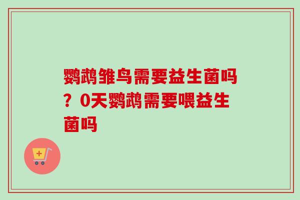 鹦鹉雏鸟需要益生菌吗？0天鹦鹉需要喂益生菌吗