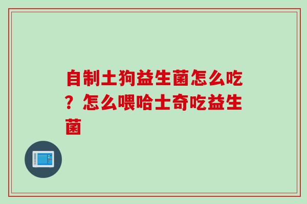 自制土狗益生菌怎么吃？怎么喂哈士奇吃益生菌
