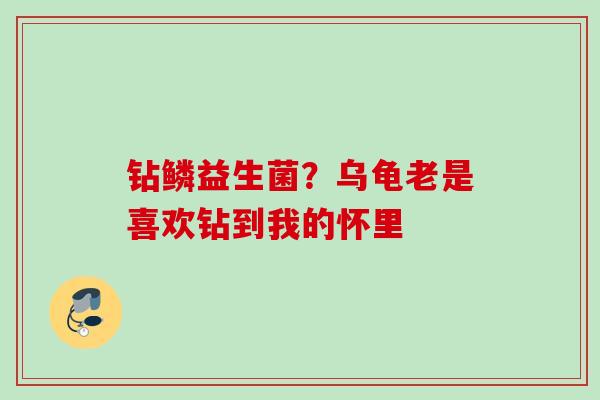 钻鳞益生菌？乌龟老是喜欢钻到我的怀里