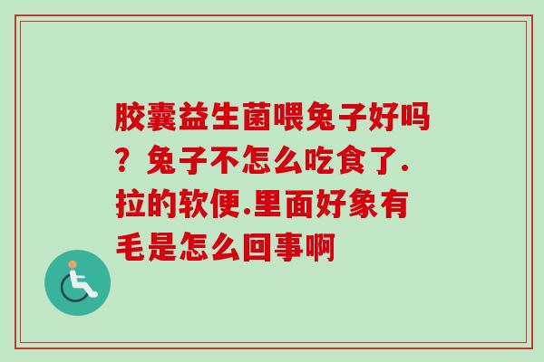 胶囊益生菌喂兔子好吗？兔子不怎么吃食了.拉的软便.里面好象有毛是怎么回事啊