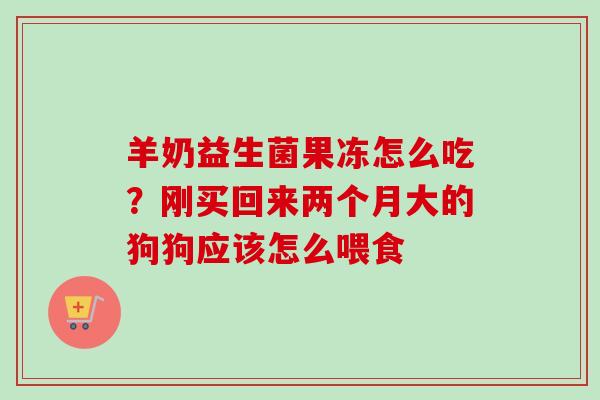 羊奶益生菌果冻怎么吃?刚买回来两个月大的狗狗应该怎么喂食 羊奶益生菌果冻怎么吃?刚买回来两个月大的狗狗应该怎么喂食