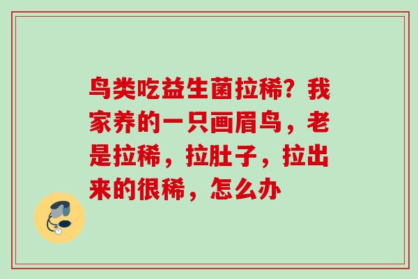 鸟类吃益生菌拉稀?我家养的一只画眉鸟,老是拉稀,拉肚子,拉出来的很稀,怎么办 鸟类吃益生菌拉稀?我家养的一只画眉鸟,老是拉稀,拉肚子,拉出来的很稀,怎么办