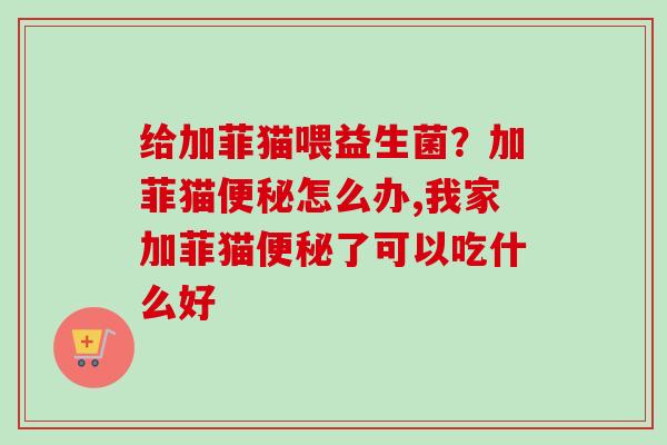 给加菲猫喂益生菌?加菲猫怎么办,我家加菲猫了可以吃什么好 给加菲猫喂益生菌?加菲猫怎么办,我家加菲猫了可以吃什么好