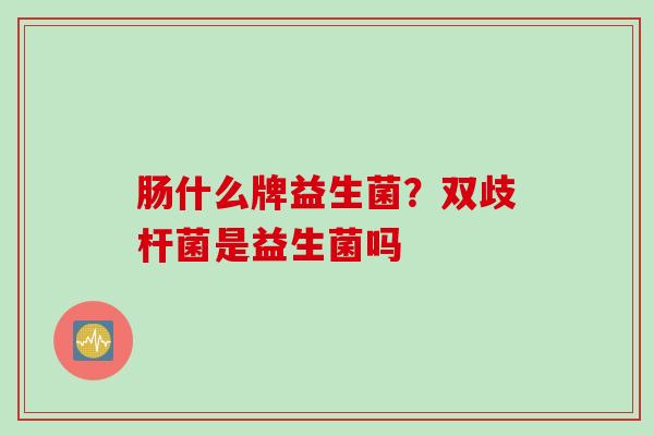 肠什么牌益生菌？双歧杆菌是益生菌吗