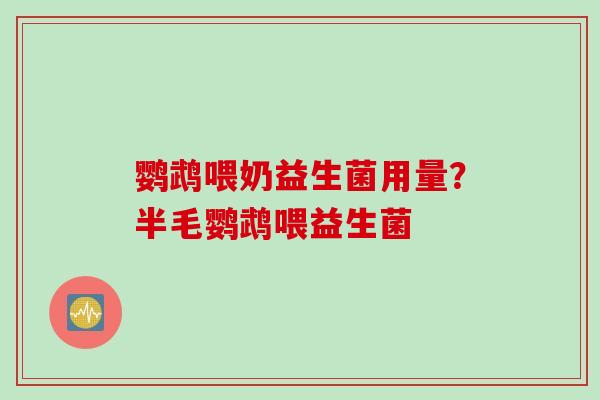 鹦鹉喂奶益生菌用量？半毛鹦鹉喂益生菌