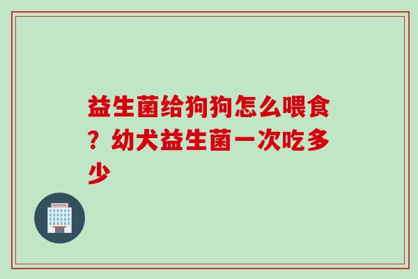 益生菌给狗狗怎么喂食？幼犬益生菌一次吃多少