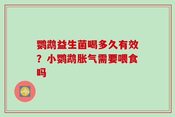 鹦鹉益生菌喝多久有效?小鹦鹉需要喂食吗 鹦鹉益生菌喝多久有效?小鹦鹉需要喂食吗