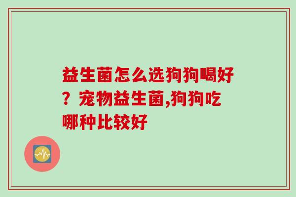 益生菌怎么选狗狗喝好？宠物益生菌,狗狗吃哪种比较好