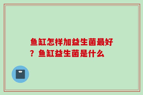 鱼缸怎样加益生菌好?鱼缸益生菌是什么 鱼缸怎样加益生菌好?鱼缸益生菌是什么
