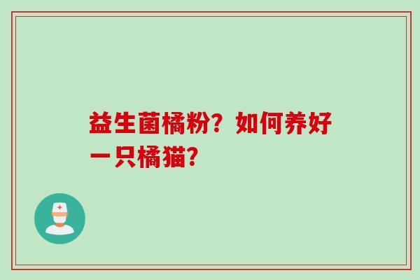 益生菌橘粉?如何养好一只橘猫? 益生菌橘粉?如何养好一只橘猫?