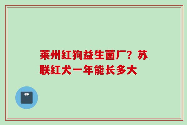 莱州红狗益生菌厂？苏联红犬一年能长多大