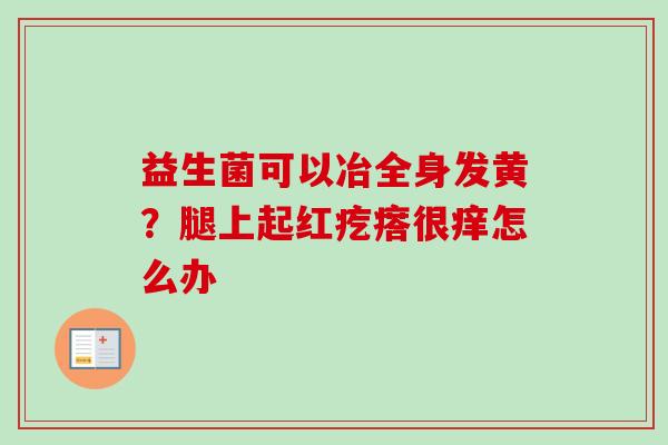 益生菌可以冶全身发黄?腿上起红疙瘩很痒怎么办 益生菌可以冶全身发黄?腿上起红疙瘩很痒怎么办