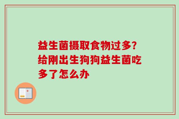 益生菌摄取食物过多？给刚出生狗狗益生菌吃多了怎么办