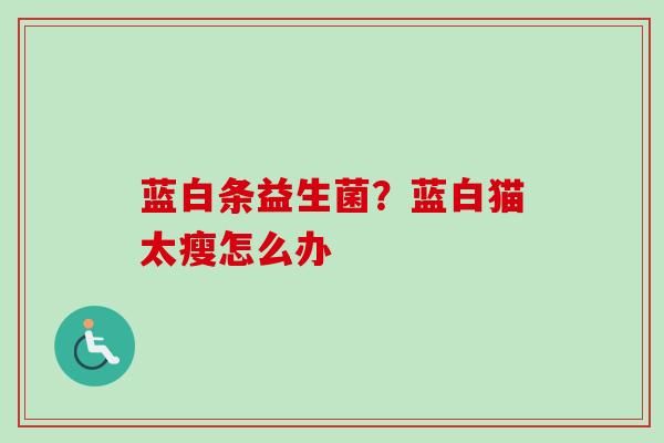 蓝白条益生菌？蓝白猫太瘦怎么办