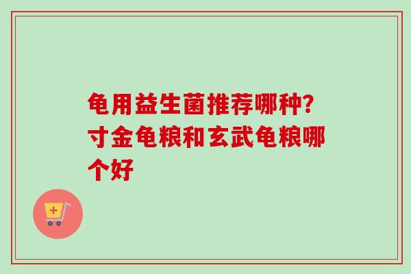 龟用益生菌推荐哪种?寸金龟粮和玄武龟粮哪个好 龟用益生菌推荐哪种?寸金龟粮和玄武龟粮哪个好