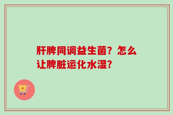 脾同调益生菌?怎么让脾脏运化水湿? 脾同调益生菌?怎么让脾脏运化水湿?