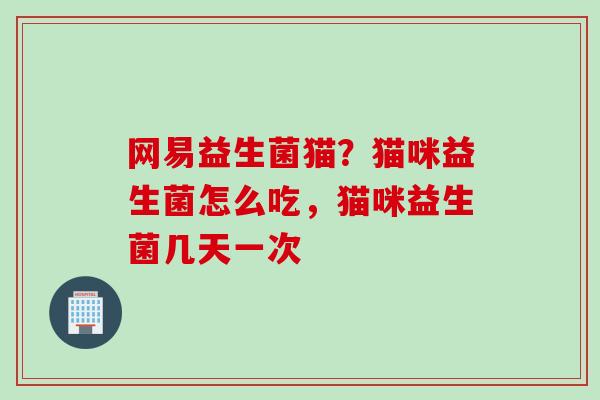 网易益生菌猫？猫咪益生菌怎么吃，猫咪益生菌几天一次