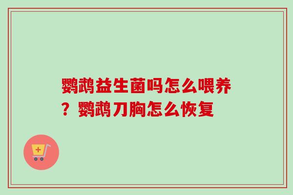 鹦鹉益生菌吗怎么喂养?鹦鹉刀胸怎么恢复 鹦鹉益生菌吗怎么喂养?鹦鹉刀胸怎么恢复